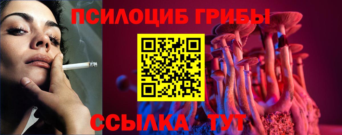 Галлюциногенные грибы Cubensis Сатка