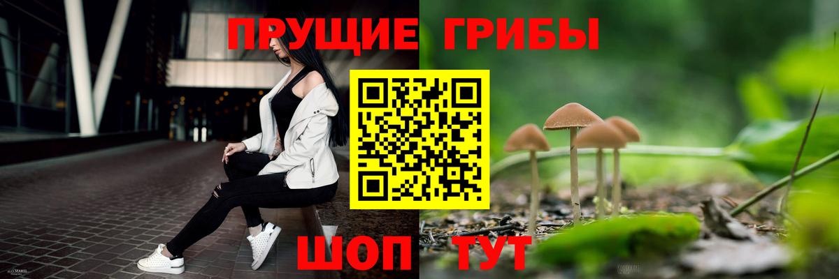 Сатка  Галлюциногенные грибы Cubensis  Вход с VPN  Псилоцибиновые грибы Magic Shrooms 